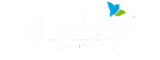 BlueBird Logo